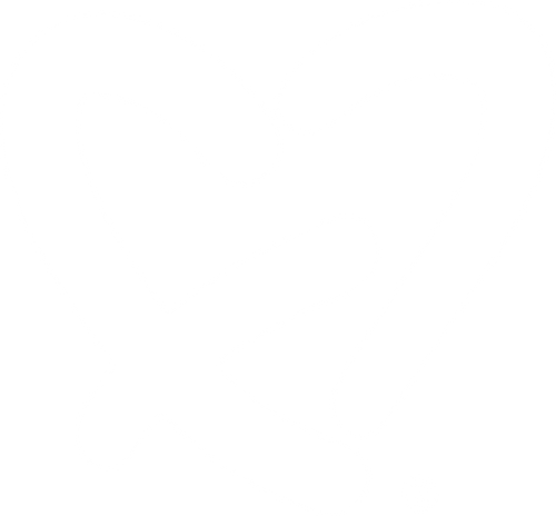 FOR THE LOVE™